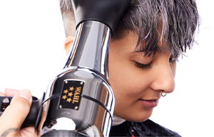 Wahl Professional 5-Star Barber Dryer - Latest New and Offers